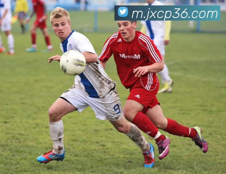 数据防护可视化